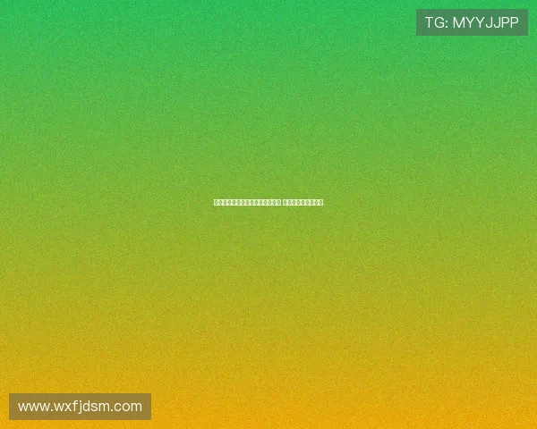 德甲球队在欧洲赛场的崛起与挑战 赛季成绩与未来展望