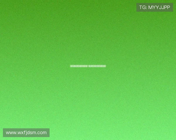 深度解析山东泰山外援表现 揭示梅雷加真实实力与潜力